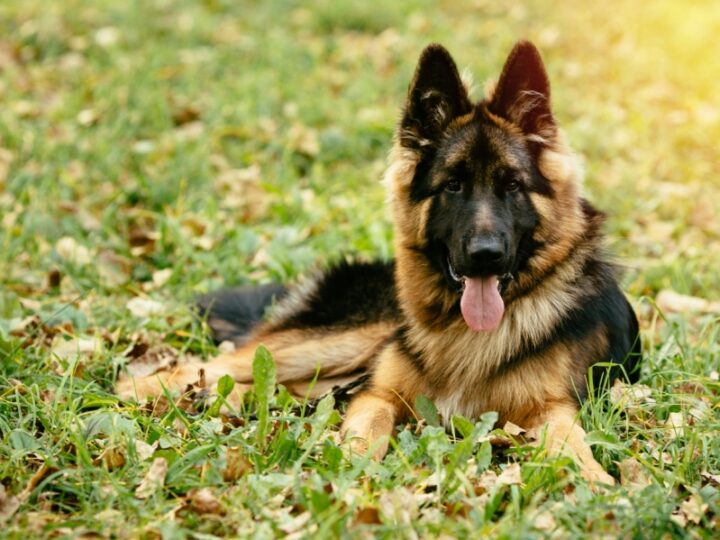 Aktualno ci ERawicz pl Aktualno ci ERawicz pl