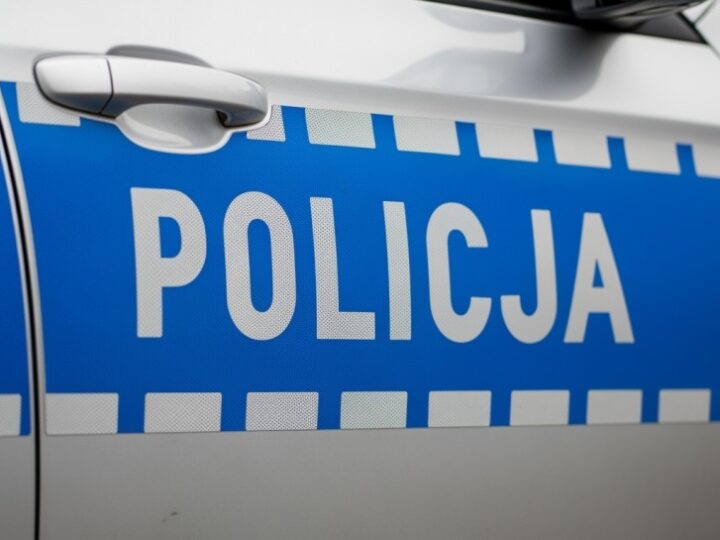 Policja w Rawiczu zatrzymuje poszukiwanych i nielegalnych imigrantów w trwającej akcji „Poszukiwany”